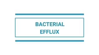 Bacterial Efflux