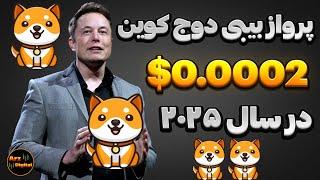 قیمت بیبی دوج 0.0002$ در سال ۲۰۲۵؟ | انفجار بیبی دوج در راه است؟