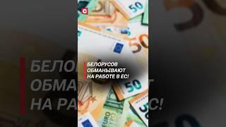 Белорусов обманывают на работе в ЕС! #политика #новости #литва #ес #евросоюз