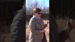Подсунули коммуналку вместо загородного дома