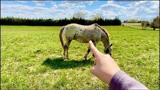 ASMR: Outdoors asmr, spontaneous sounds for 30+ mins for 50k subs! Camera tapping etc