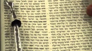 Yom Kippur Torah Reading Rabbi Weisblum יום כיפור קריאת תורה הרב ויסבלום