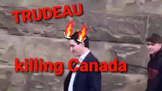 TRUDEAU IS KILLING CANADA