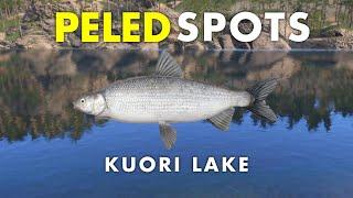 Russian Fishing 4 PELED SPOT Kuori Lake