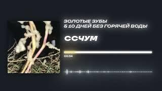 Золотые зубы & 10 дней без горячей воды - «ССЧУМ» (Official Audio)