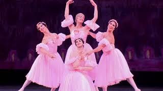 Les Ballets Trockadero de Monte Carlo: Le Grand Pas de Quatre (excerpt)