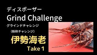 【伊勢海老の殻】エマソン社 ディスポーザー AC105-B イン・シンク・イレーター グラインドチャレンジ