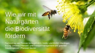 Fachvortrag bei NABU | Wie wir mit Naturgärten die Biodiversität fördern | Thomas Schlegelmilch