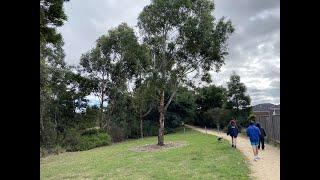 Taylors Creek Walking Track (Wallan)