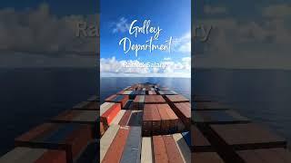 Merchant Navy | Galley Dept.| Rank & Salary #shorts #merchantnavy #marine #course #rank #salary #fyp