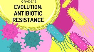 ANTIBIOTIC RESISTANCE | How natural selection occurs today and results in evolution