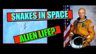 Snakes in Space ?