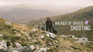 WALKED UP GROUSE SHOOTING - SCOTLAND