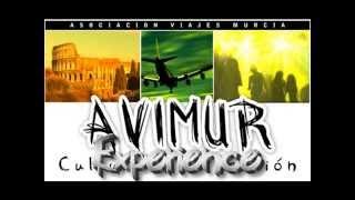 Avimur AeroPlane Experience