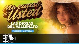 Me Cansé De Usted, Las Diosas del Vallenato - Video Letra