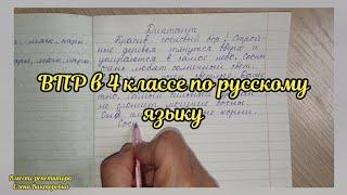 Диктант по ВПР в 4 классе в 2023 году