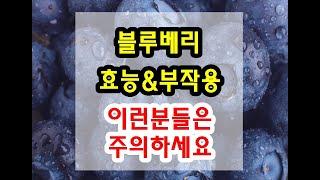 세계 10대 슈퍼푸드 블루베리 효능과 부작용 잘 알고 드셔야해요~