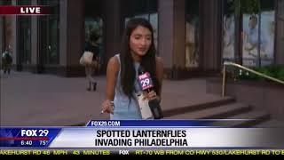 Lantern bug reporter pumps crush