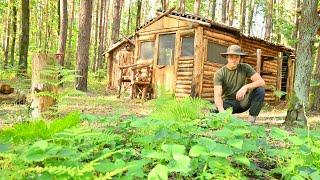 Harvesting in my Forest Garden, Large Wooden Fence for my Forest Area From Wild Animals - Ep. 2