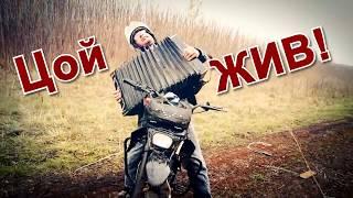 Прикол ! С Цоем по духу ! Миша Ёрш.