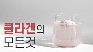 콜라겐 총정리 종류, 용도, 흡수율, 복용법