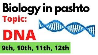 DNA | Deoxyribonucleic acid | DNA in pashto | Home of biology