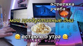 Мои продуктивные дни | ПОЛИНА ПИРОГ