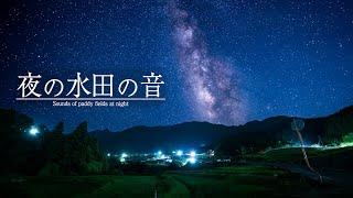 【安眠用BGM】夜の水田の音