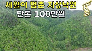 세월이 멈춘 땅~지상낙원 단돈100만원~샘물 졸졸졸~계곡물 철철철~[땅지통]