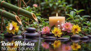 Healing Insomnia  Sleeping Music, Water Sounds, Stress Relief, Relaxing Music