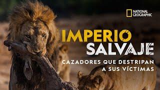 Imperio Salvaje: Cazadores que destripan a sus víctimas