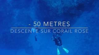 Plongée par - 50 mètres sur Corail rouge à l'Ile Maurice avec Ticabo Divibg Centre