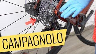 Campagnolo EKAR 13-fach Schaltung einstellen - einfach & schnell - Fahrrad.org