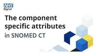 SNOMED CT tutorial: Common specific attributes | NHS Digital