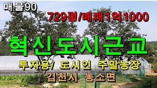 (거래완료)김천토지 김천땅/김천시 농소면/평수729평/매매1억1000만원/혁신도시 근교 투자용 텃밭