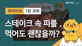 [곽덕이의 1분 과학] 스테이크 속 피를 먹어도 괜찮을까? / YTN 사이언스