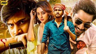 Sirfirein Looterey South Blockbuster Hindi Dubbed Action Movie | Raj Tarun, Anu Emmanuel |Love Story