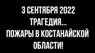Страшно слышать крики о помощи или что происходит у нас в эти дни в Костанайской области? Часть1
