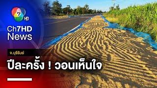 ขอเถอะปีละครั้ง ! ชาวนาตากข้าวบนถนน ยาวกว่า 1 กม. จ.บุรีรัมย์ | สนามข่าว 7 สี