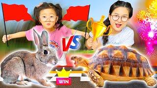 Cam Cam và thú cưng dễ thương, tổ chức cuộc thi chạy giữa rùa và thỏ