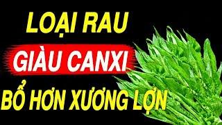 Bác sĩ tiết lộ LOẠI RAU giàu canxi gấp 36 lần CANH XƯƠNG biết ăn sớm sẽ SỐNG THỌ 100 TUỔI