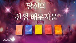 [타로|연애] 당신의 천생 배우자운