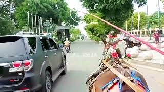 Naik Andong Keliling Malioboro 2024