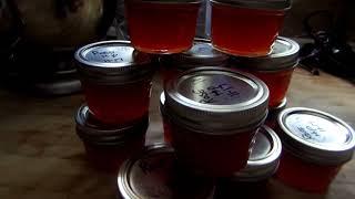 WILD ROSE HIP JELLY