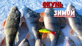 ЗИМНЯЯ РЫБАЛКА . ОКУНЬ НА БАЛАНСИР