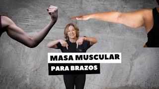 MASA MUSCULAR PARA BRAZOS