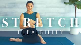 Stretching Exercises for Mobility & Flexibility & Posture