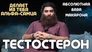 Как тестостерон делает из тебя альфа самца?! Абсолютная база Макарона! Арсен Маркарян