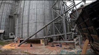 Hauling Soybeans To The Feed Mill