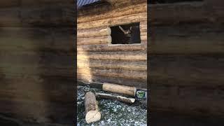 Вырезаем окно в бане